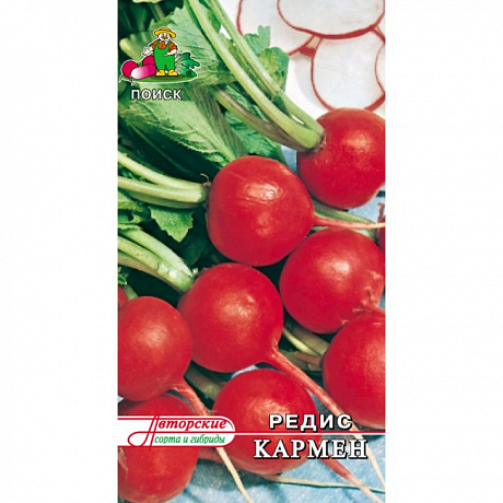 Редис Кармен фото Редис Кармен 